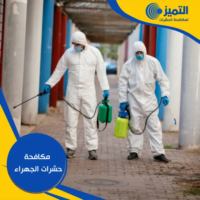 مكافحة حشرات الجهراء