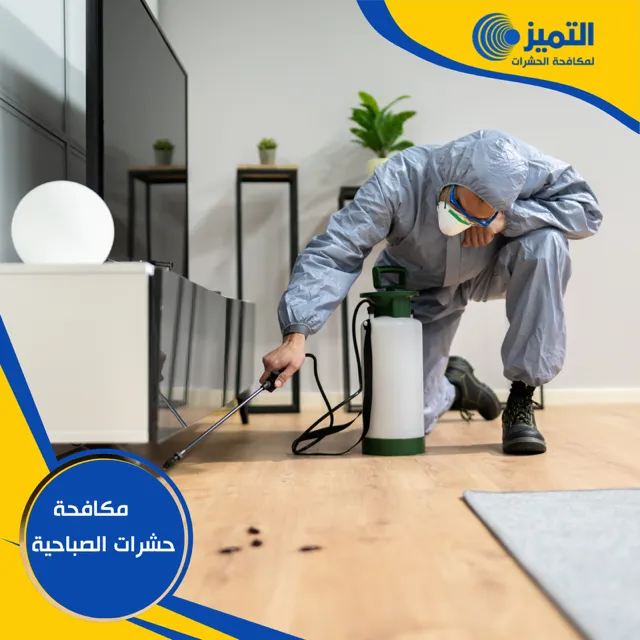 مكافحة حشرات الصباحية 