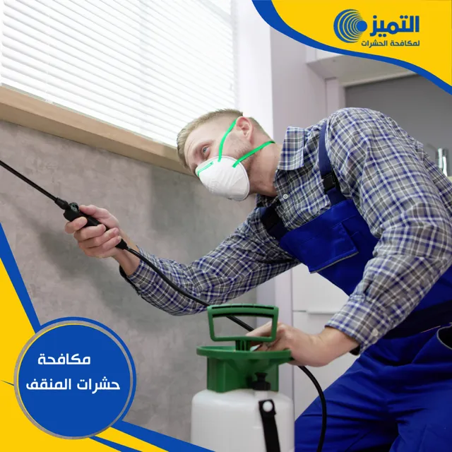 مكافحة حشرات المنقف 